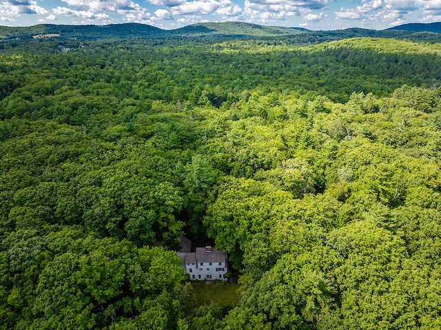 birds eye view of property featuring a mountain view