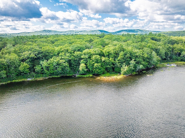 birds eye view of property featuring a water and mountain view