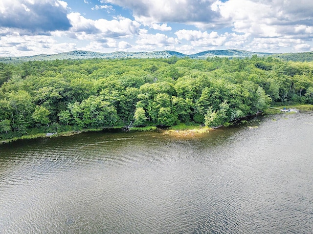 13 Hemlock Dr, Lincolnville, ME 04849 - photo 7