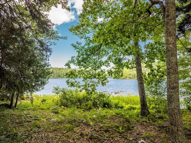 13 Hemlock Dr, Lincolnville, ME 04849 - photo 5
