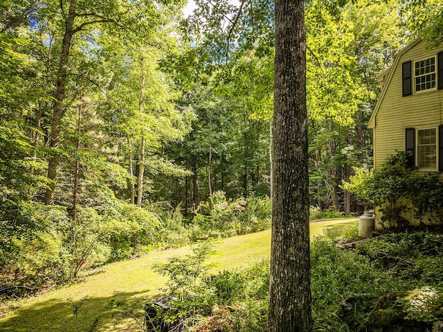 13 Hemlock Dr, Lincolnville, ME 04849 - photo 39