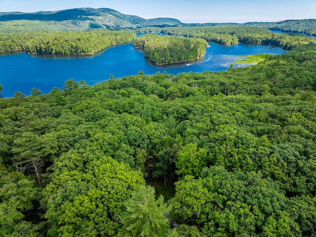 drone / aerial view featuring a water and mountain view