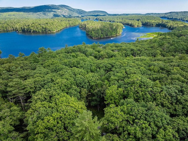 13 Hemlock Dr, Lincolnville, ME 04849 - photo 4
