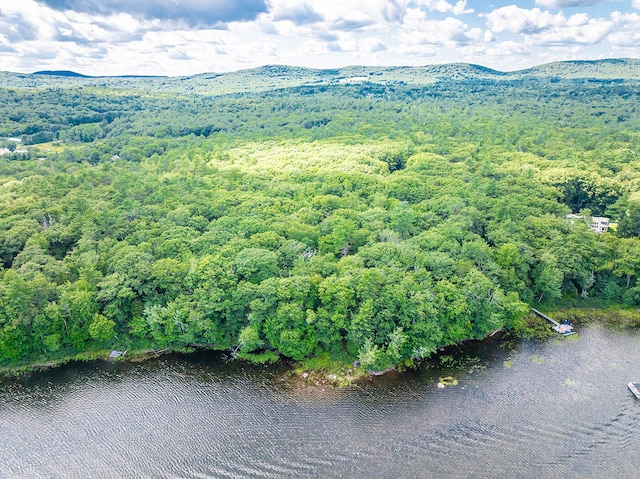 bird's eye view featuring a water and mountain view