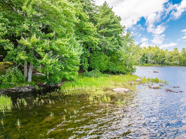 property view of water