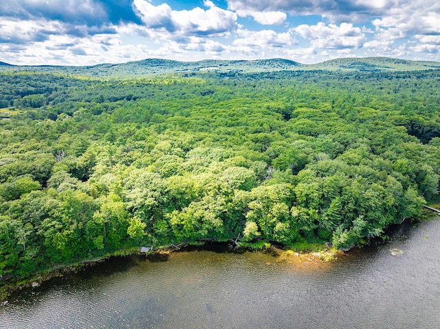 bird's eye view featuring a water and mountain view