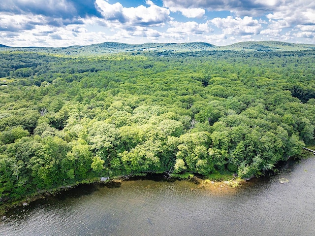 13 Hemlock Dr, Lincolnville, ME 04849 - photo 49