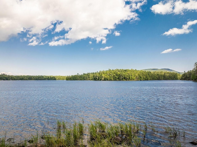 13 Hemlock Dr, Lincolnville, ME 04849 - photo 6