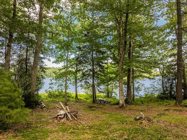 13 Hemlock Dr, Lincolnville, ME 04849 - photo 50