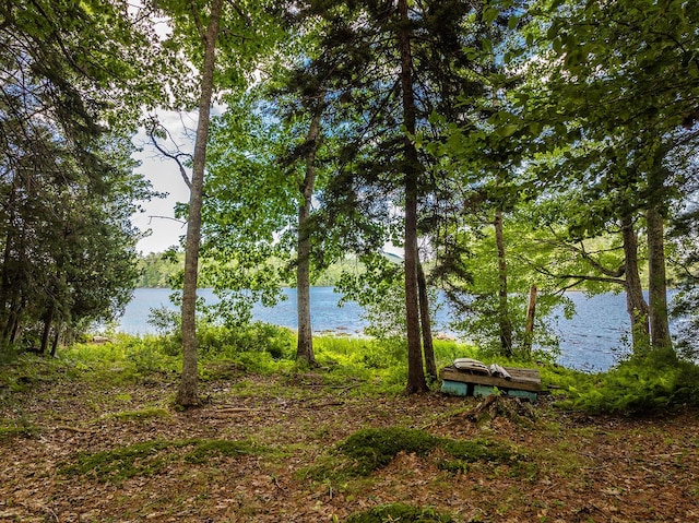 13 Hemlock Dr, Lincolnville, ME 04849 - photo 28