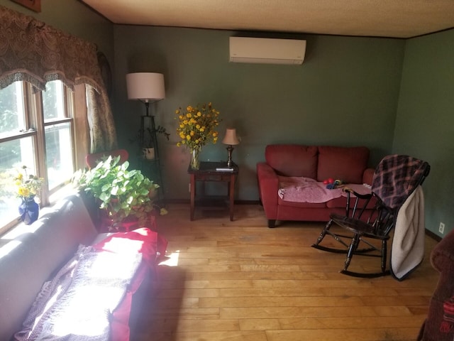 381 Caribou Rd, Presque Isle, ME 04769 - living room featuring a wall unit AC and light wood-style floors