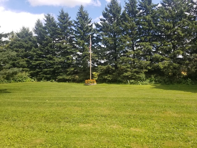 381 Caribou Rd, Presque Isle, ME 04769 - view of green lawn