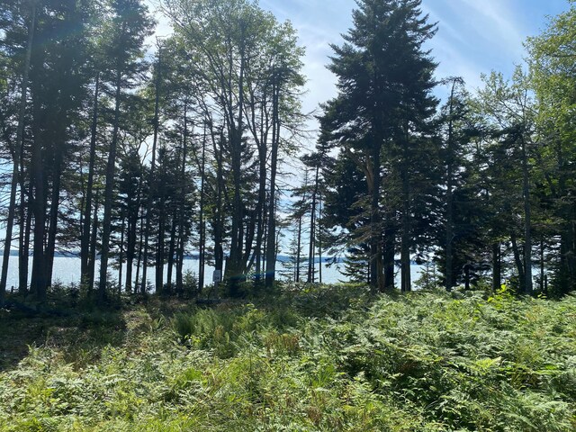 272 Estates Rd, Steuben, ME 04680