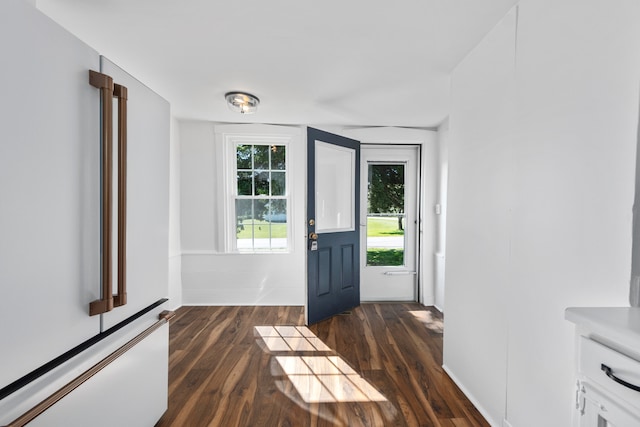 doorway to outside with dark wood-type flooring