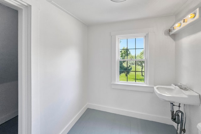 bathroom with wood-type flooring and sink