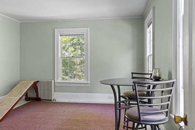 4 Wilson St, Topsham, ME 04086 - dining space with radiator, carpet flooring, healthy amount of natural light, and crown molding
