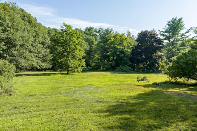 4 Wilson St, Topsham, ME 04086 - view of green lawn featuring a view of trees