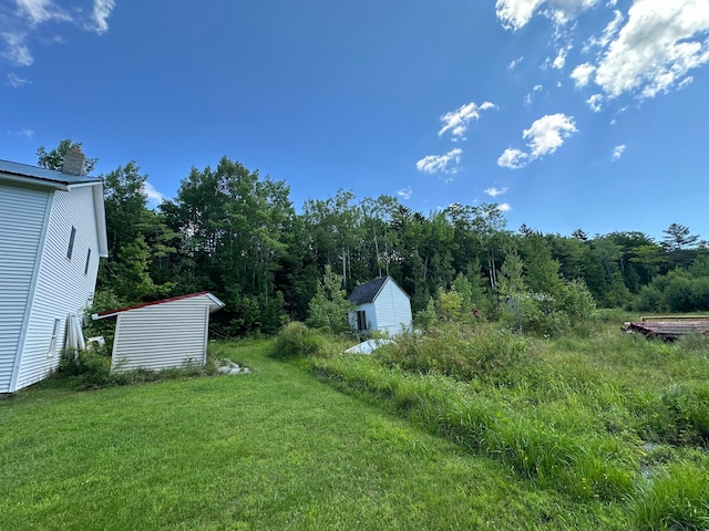 view of yard with a storage shed