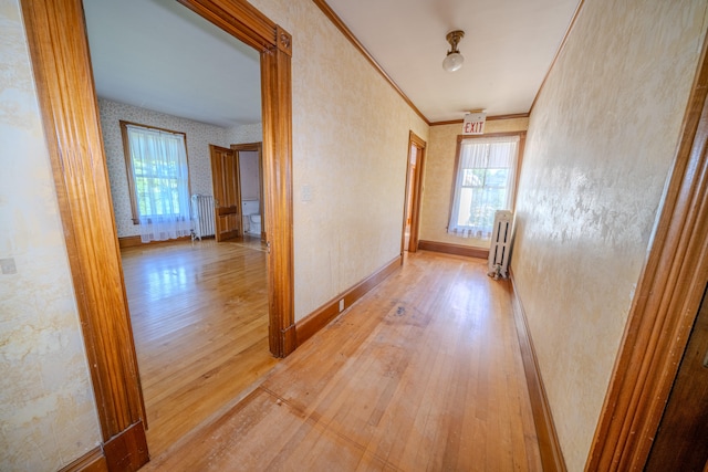 hallway with radiator, light hardwood / wood-style flooring, plenty of natural light, and crown molding