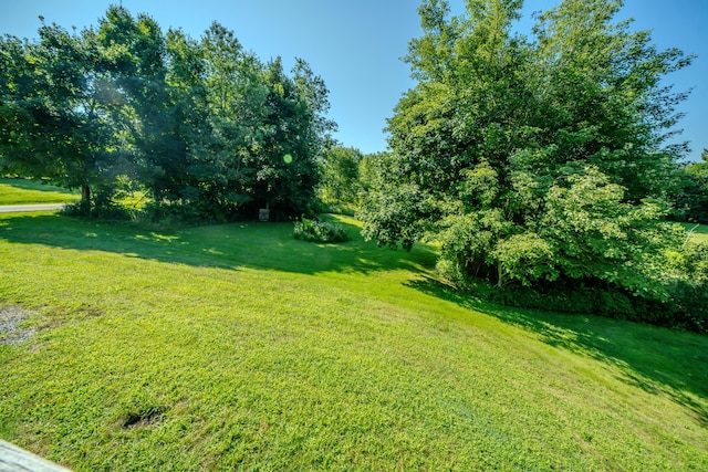 443 S Union Rd, Union, ME 04862 - view of yard