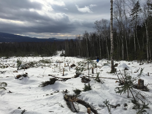 M3/L9.11 Bemis Rd, Rangeley Plt ME, 04970 land for sale