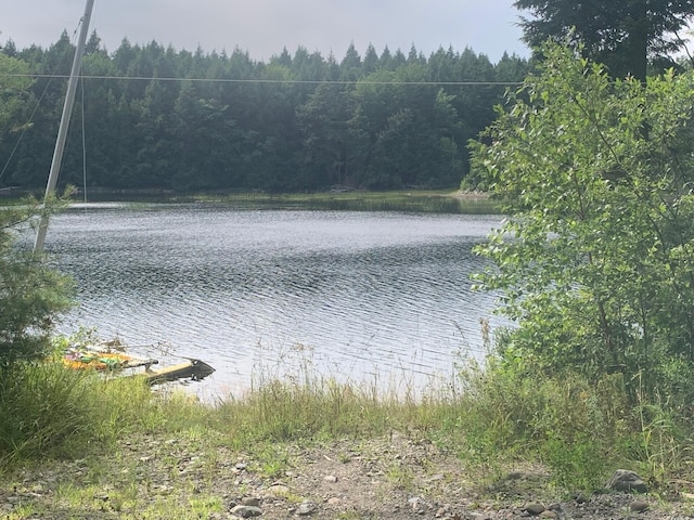 view of water feature