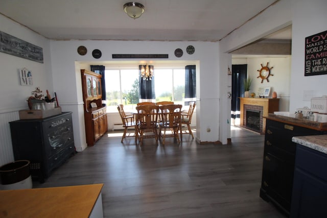 dining space featuring dark hardwood / wood-style flooring