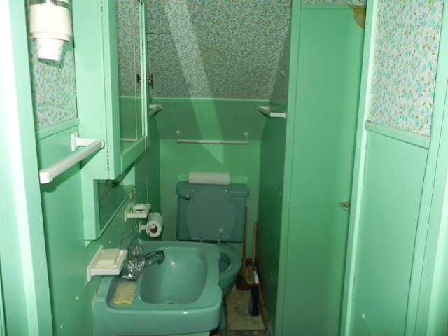 bathroom with sink and toilet