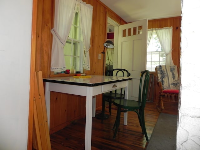 dining room with dark hardwood / wood-style flooring