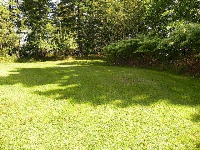 6 Sardine Way, Lubec, ME 04652 - view of yard