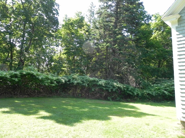 6 Sardine Way, Lubec, ME 04652 - view of yard