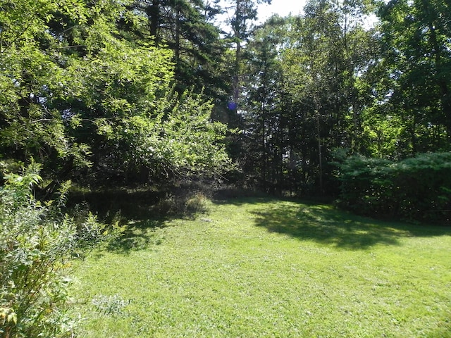 6 Sardine Way, Lubec, ME 04652 - view of yard