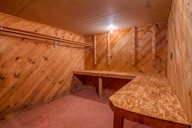 interior space with carpet floors and wood walls