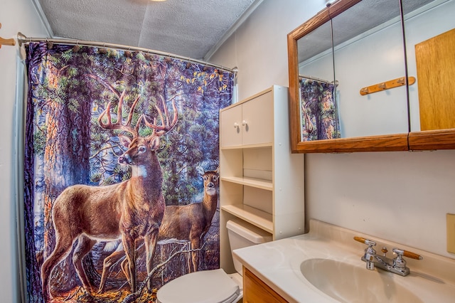 bathroom featuring crown molding, vanity, a textured ceiling, and toilet