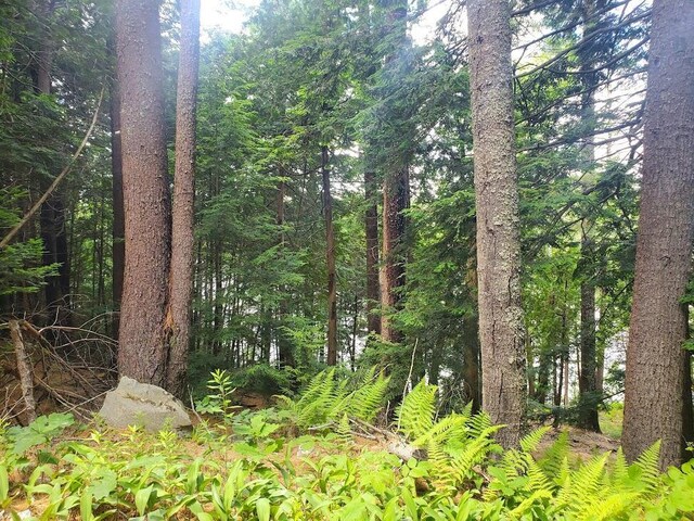 183 Arctic Station Rd, Orrington, ME 04474
