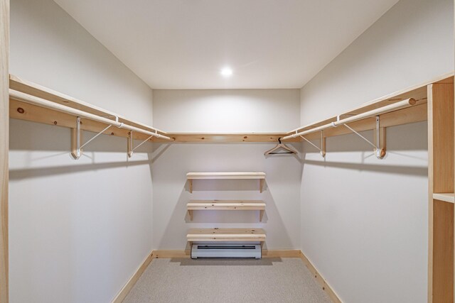 spacious closet with carpet floors