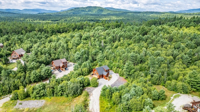 bird's eye view featuring a mountain view