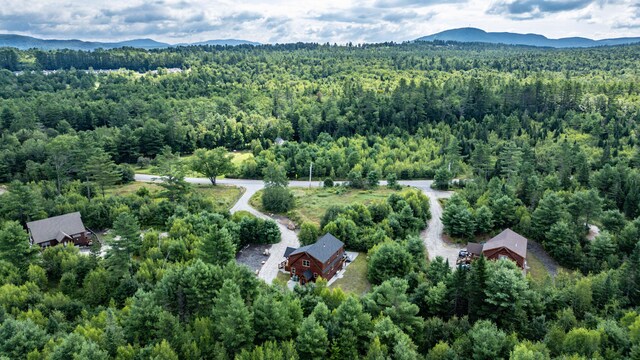 drone / aerial view featuring a mountain view