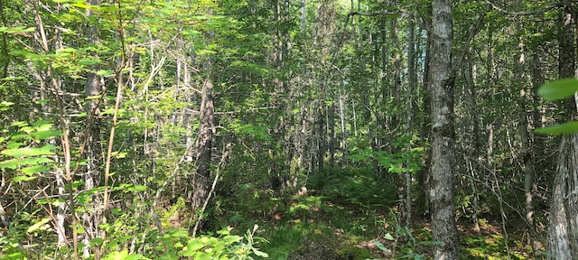 LOT2.2 Rte 9 Unit T22, Md, ME 04622