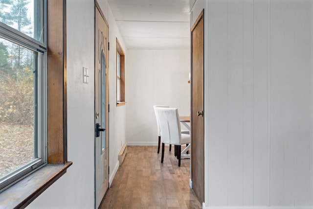 hallway with wooden walls and light hardwood / wood-style flooring