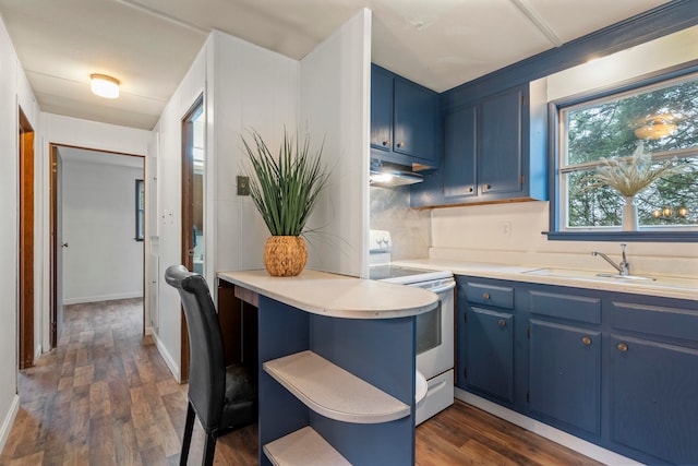 kitchen featuring dark hardwood / wood-style flooring, blue cabinets, electric stove, and sink