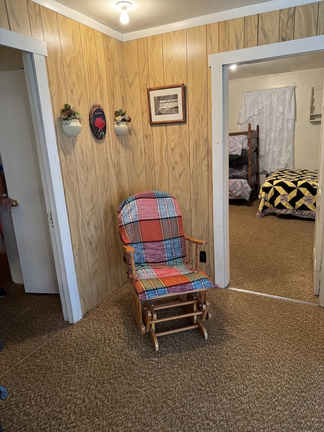 sitting room with wood walls and carpet floors