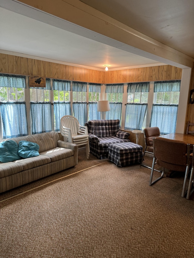 living room with wooden walls and carpet flooring