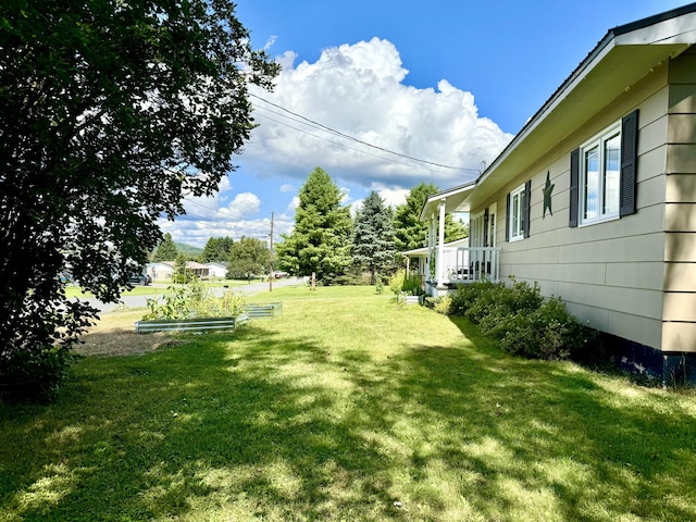 view of yard with a vegetable garden