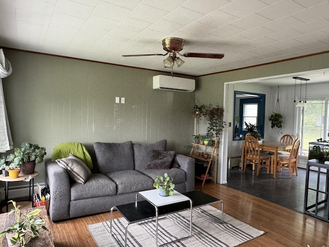 living area with ornamental molding, a ceiling fan, wood finished floors, and a wall mounted AC