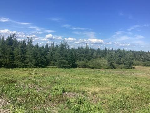 Listing photo 3 for 2120 Cutler Rd Lot 4, Cutler ME 04626