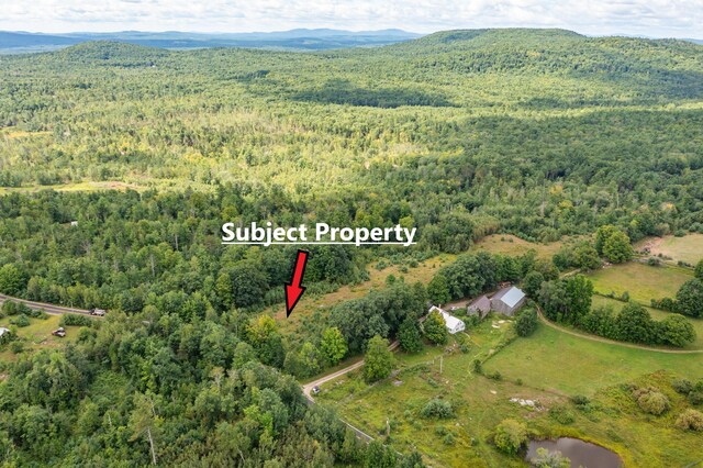 LOT18A Moulton Hill Rd, Parsonsfield ME, 04047 land for sale