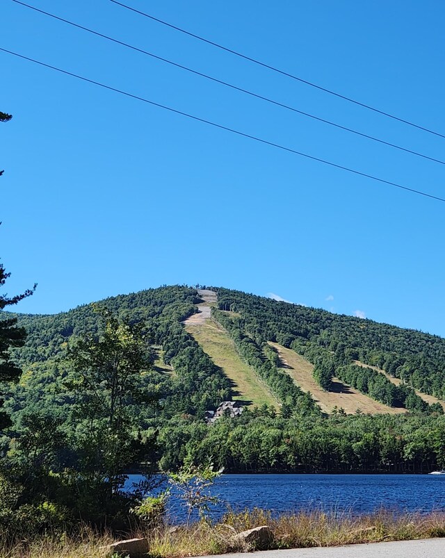 mountain view featuring a water view