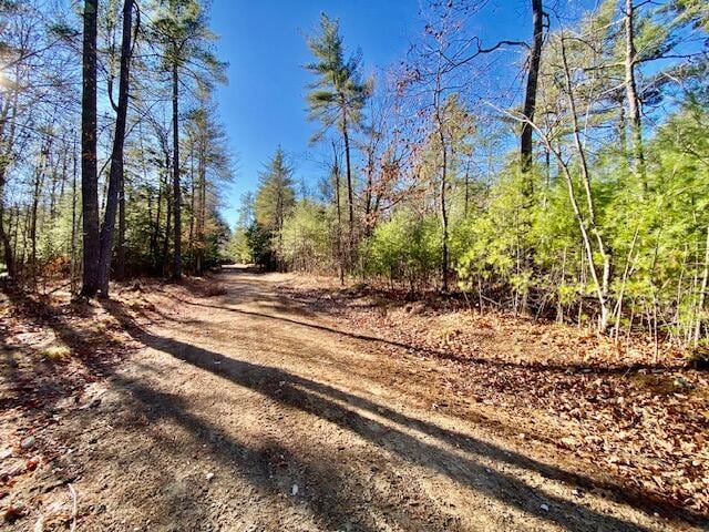 138 Fairview Dr, Waterboro, ME 04061 - photo 19