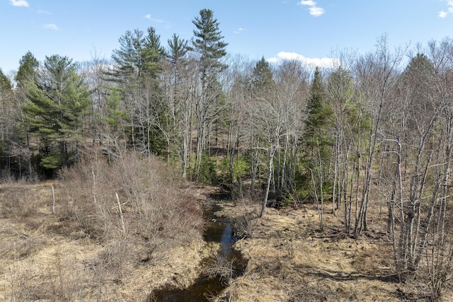 LOT13A Ridley Ln, Litchfield, ME 04350 - photo 22